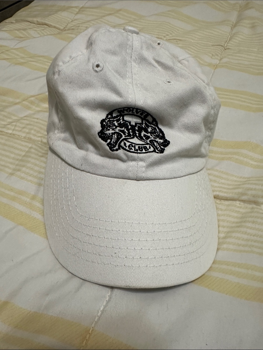 Darc Sport Wolves Hat